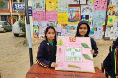 WhatsApp-Image-2026-01-12-at-12.56.30-AM-1