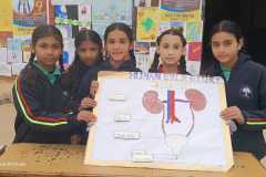 WhatsApp-Image-2026-01-12-at-12.56.36-AM